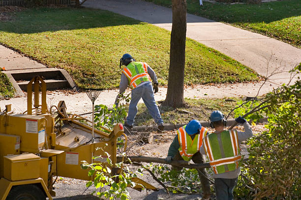 Best Grass Overseeding  in Troy Hills, NJ