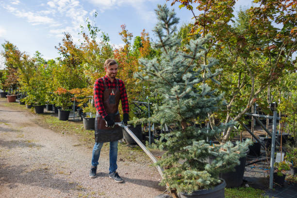 Best Utility Line Clearance  in Troy Hills, NJ